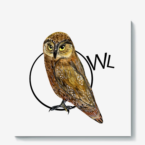 Холст «Beauty Owl (Сова)»