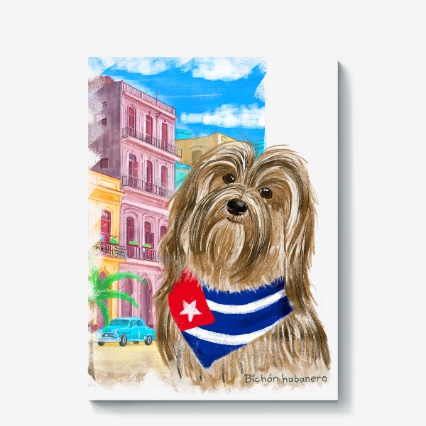 Холст «Собаки и путешествия. Гаванский бишон. Куба.»