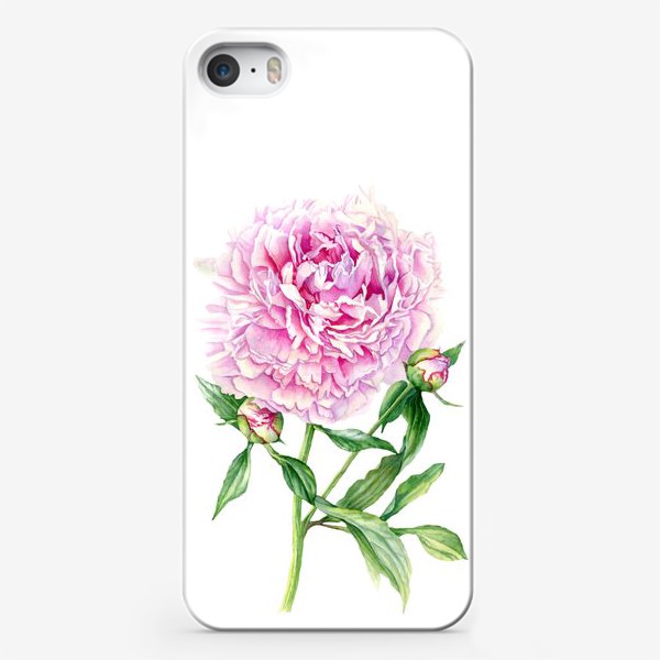 Чехол iPhone «Розовый пион акварелью»
