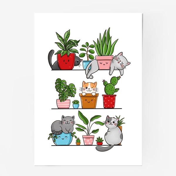 Постер «Котики и домашние цветы»