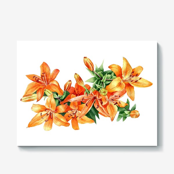 Холст «Оранжевая лилия акварелью»