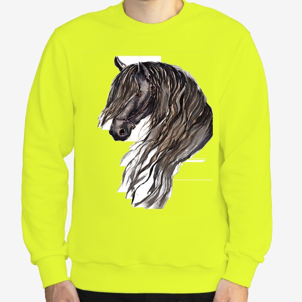 Свитшот «лошадь конь фриз стильный принт  черная лошадь»