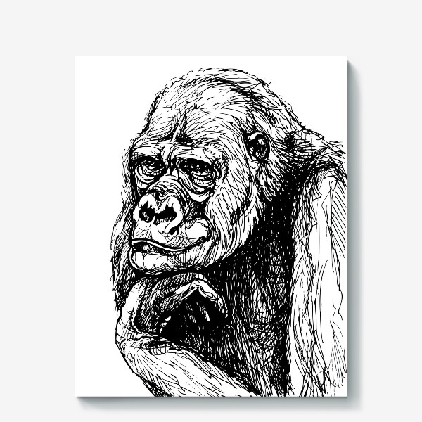 Холст «Задумчивая горилла»