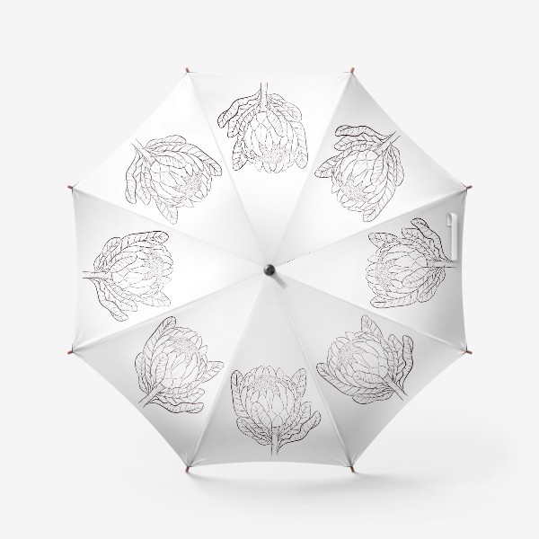 Зонт «Протея. Тропический цветок. Графика»