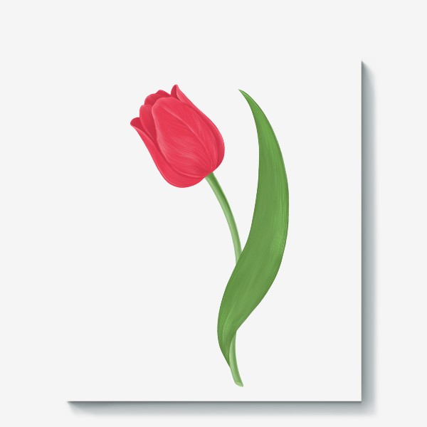 Холст «Красный тюльпан»