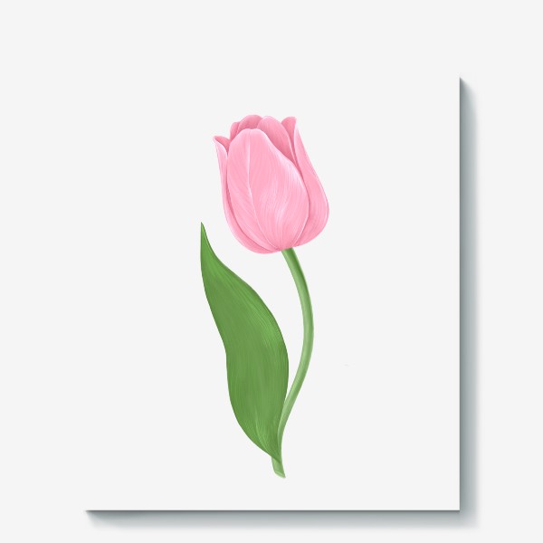 Холст «Розовый тюльпан»