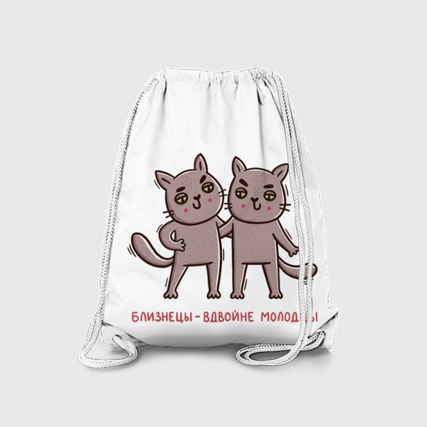 Рюкзак «Дерзкие коты - близнецы. Близнецы - вдвойне молодцы. Подарок для близнецов»