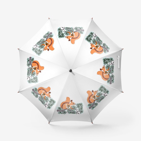 Зонт «Белка с шишкой»