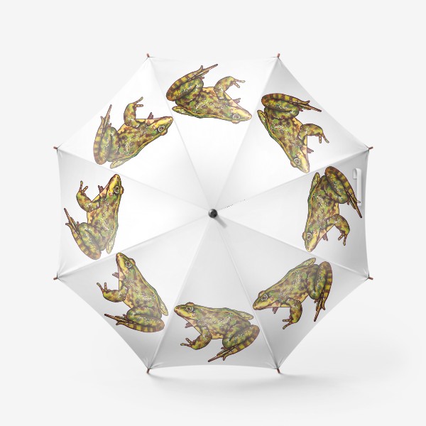 Зонт «Зеленая лягушка»