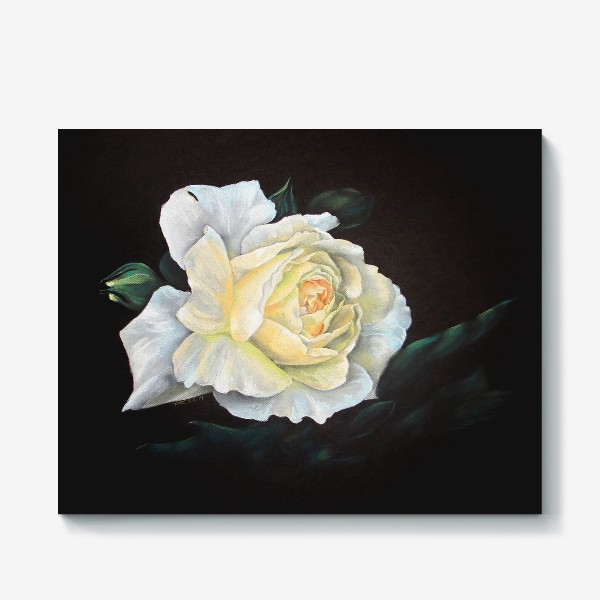 Холст «Белая роза пастель»