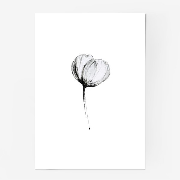 Постер «Скетч цветка»