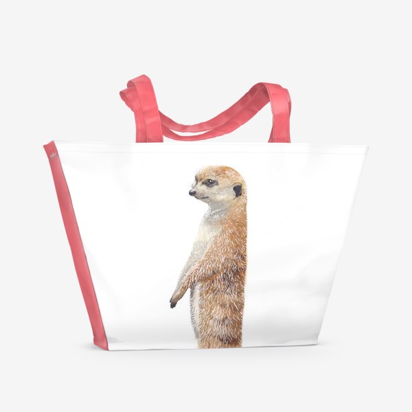 Пляжная сумка «Животные. Сурикат»
