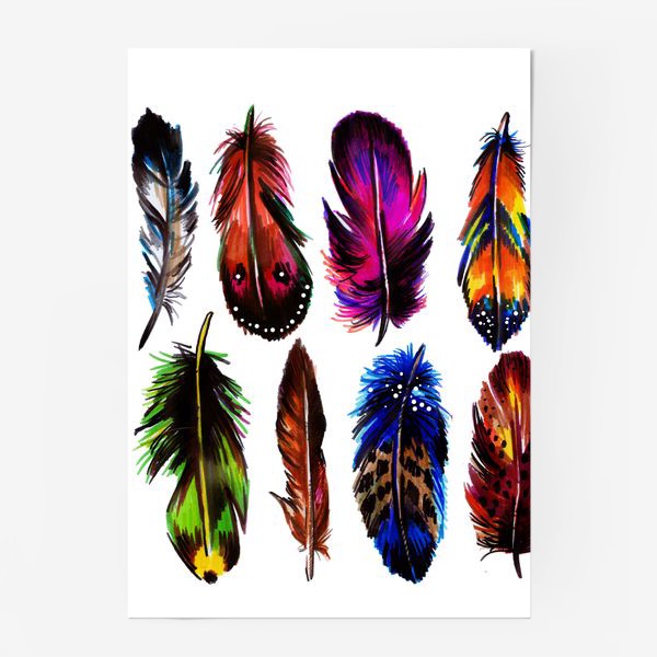 Постер «перья»