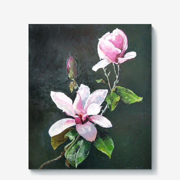 Холст «Ветка цветущей розовой Магнолии - цветы маслом и мастихином»