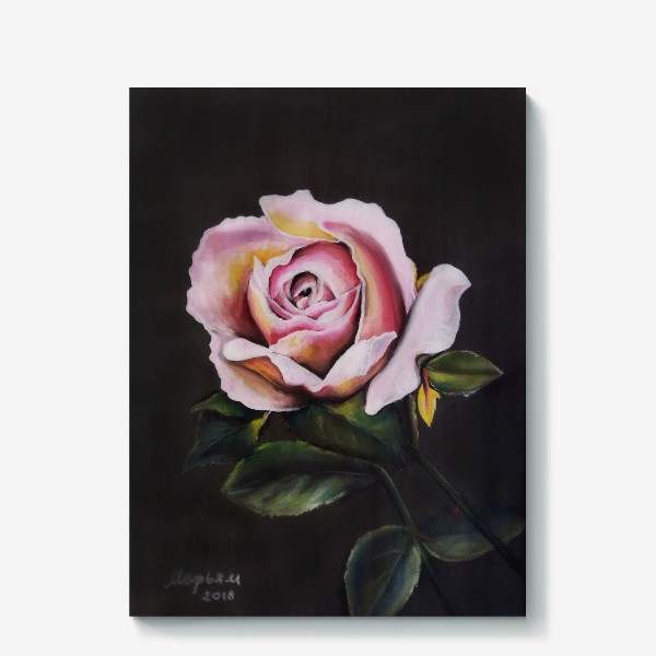 Холст «Роза розовая на темном фоне крупным планом, рисунок цветка сухой пастелью»