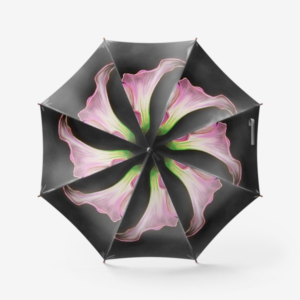 Зонт &laquo;Розовая калла на темном фоне крупным планом. Рисунок цветка, ботаническая иллюстрация&raquo;