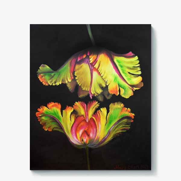 Холст «Два радужных тюльпана на черном фоне в зеленых, желтых, оранжевых и розовых тонах.»