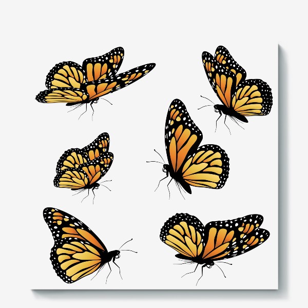 Холст «Порхающие бабочки Монархи»