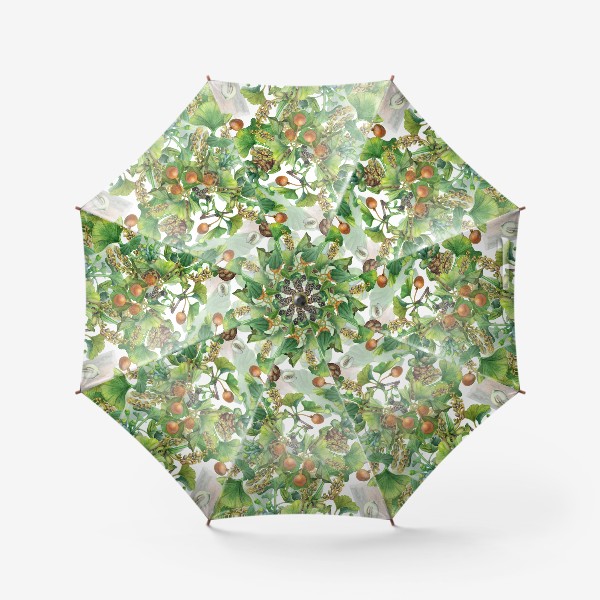 Зонт «Гинкго Билоба. Акварельная ботаника»
