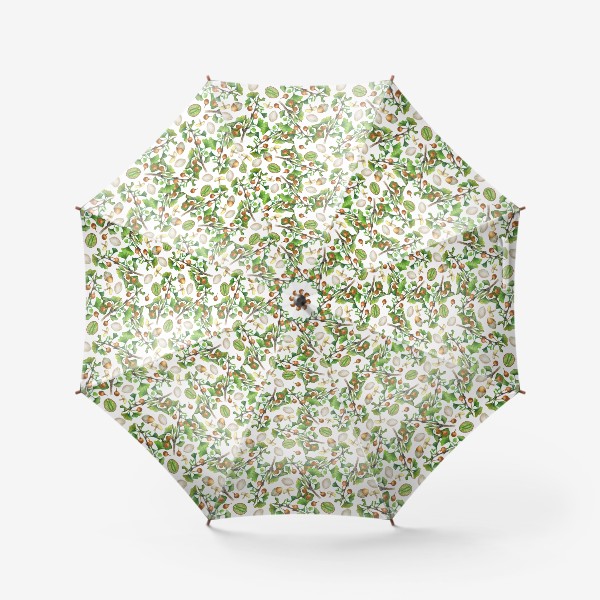 Зонт «Гинкго Билоба. Акварель ботаническая»