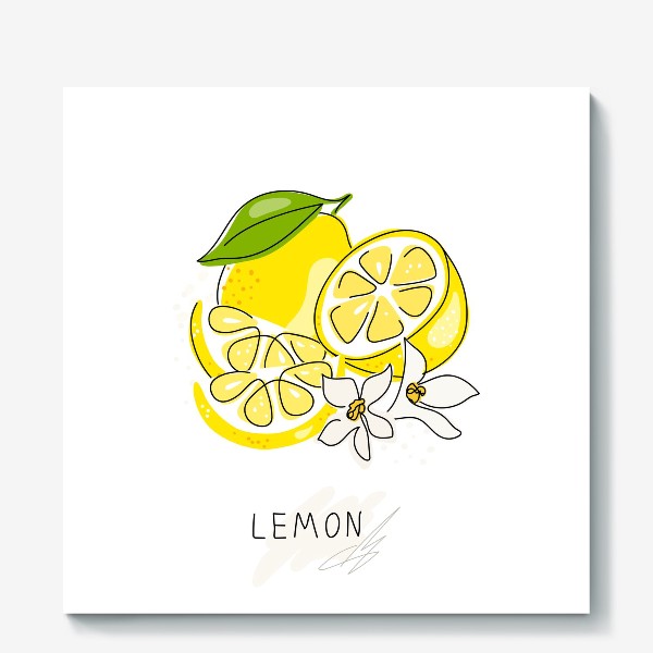 Холст «Рисованный лимон на белом фоне. Скетч. Свежие желтые плоды лимона, лайма»