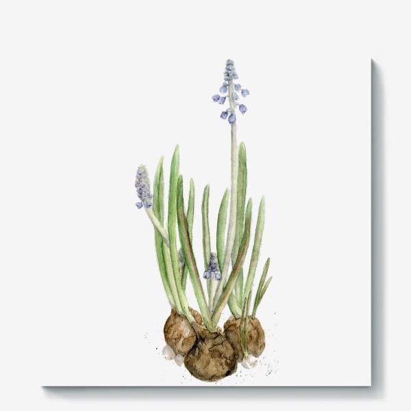 Холст &laquo;Акварельный цветок - нежный весенний гиацинт.&raquo;