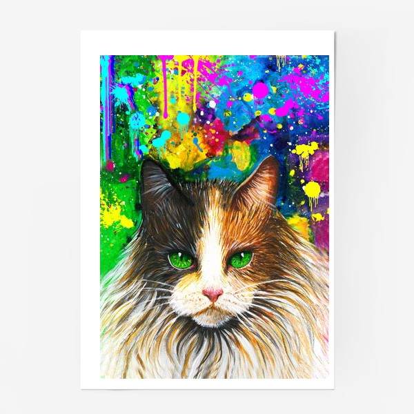 Постер «красочный кот »