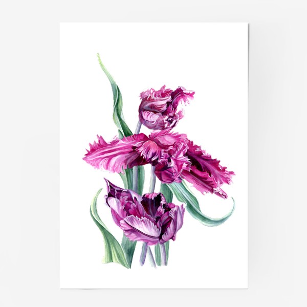 Постер «Фиолетовые тюльпаны акварелью»