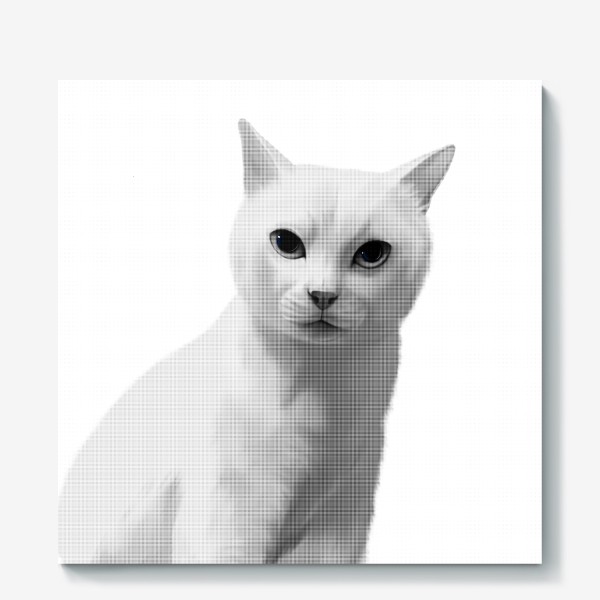 Холст «кот чёрно-белый»