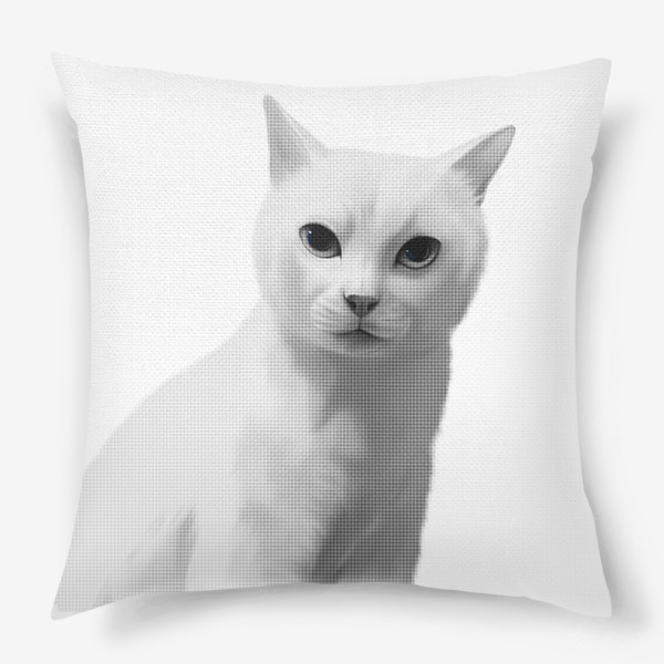 Подушка «кот чёрно-белый»