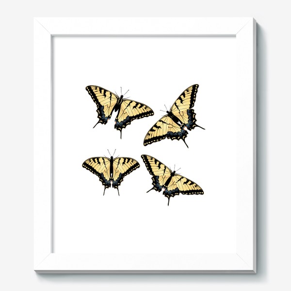Картина «Тигровый парусник бабочки порхают»