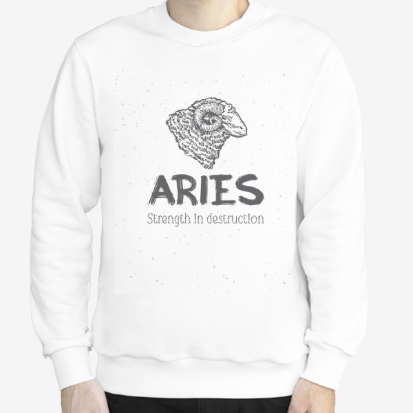 Свитшот «Aries»