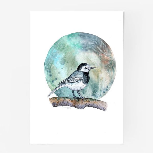 Постер «Птица Трясогузка»
