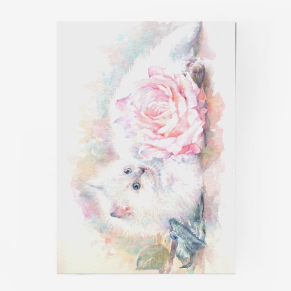 Постер «Белый котенок с розой »