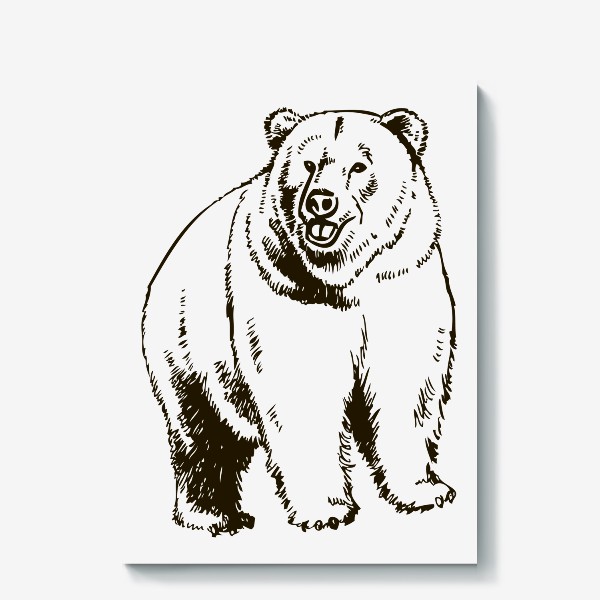 Холст «рисунок иллюстрация медведь»