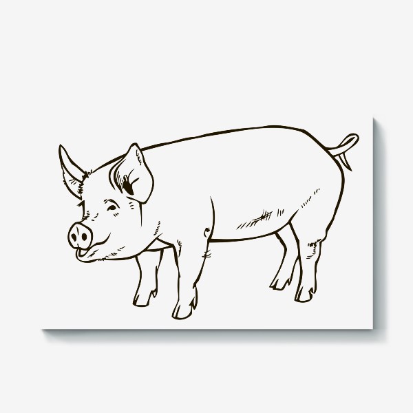 Холст «свинья иллюстрация рисунок контур»