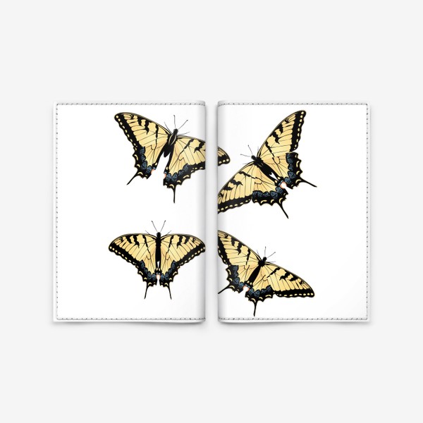 Обложка для паспорта «Тигровый парусник бабочки порхают»
