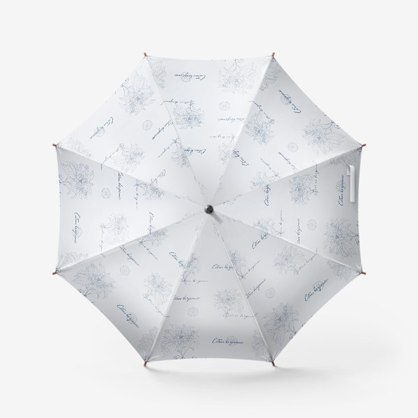 Зонт «Паттерн бергамот»