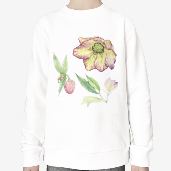 Свитшот «Нежный розовый акварельный цветок. Ботанический весенний морозник.»
