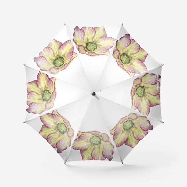 Зонт «Нежный розовый акварельный цветок. Ботанический весенний морозник.»