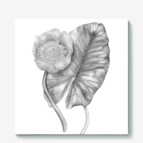 Холст «Черно-белый элегантный цветок. Кувшинка, нарисованная вручную.»