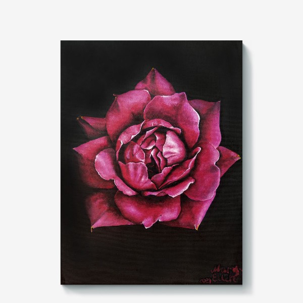 Холст «Алая роза крупным планом на черном фоне. Цветок. Живопись реализм»