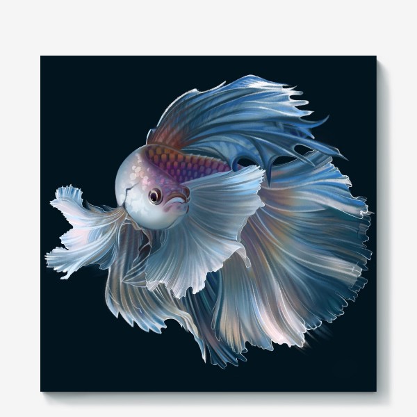 Холст «Голубая рыбка. Вуалехвост»