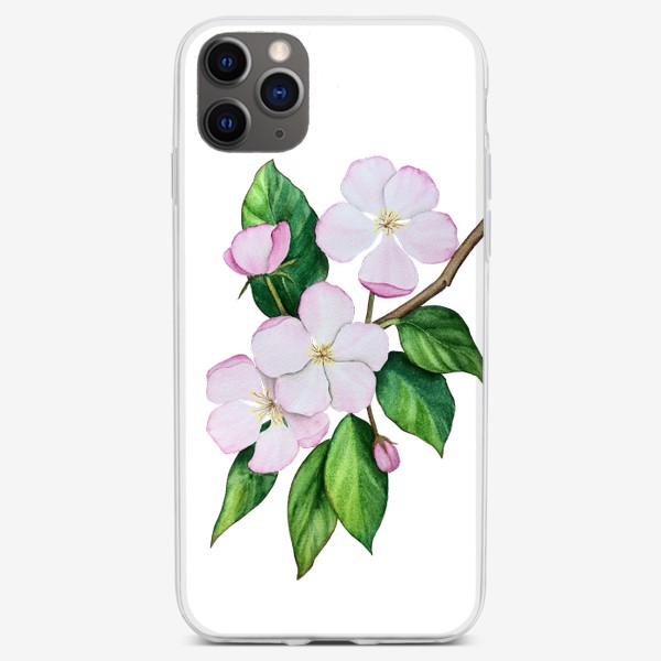 Чехол iPhone «Яблоневый цвет. Акварель»