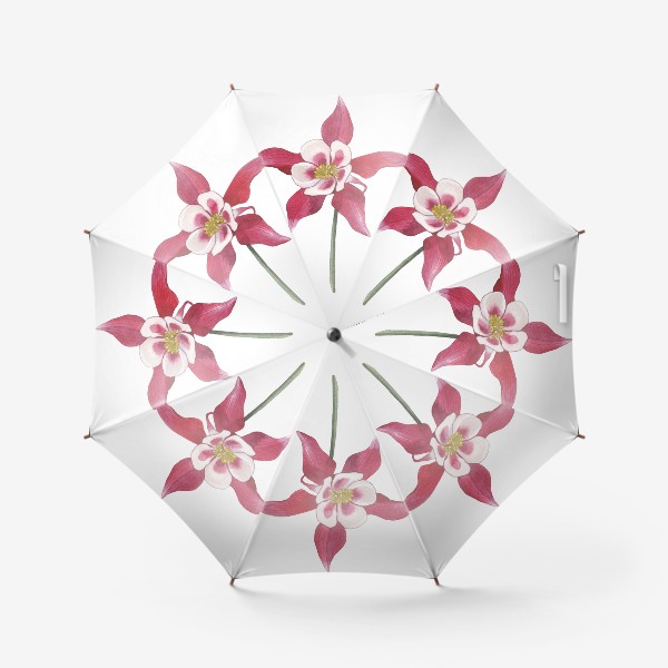 Зонт «Ботаника. Цветы. Аквилегия»