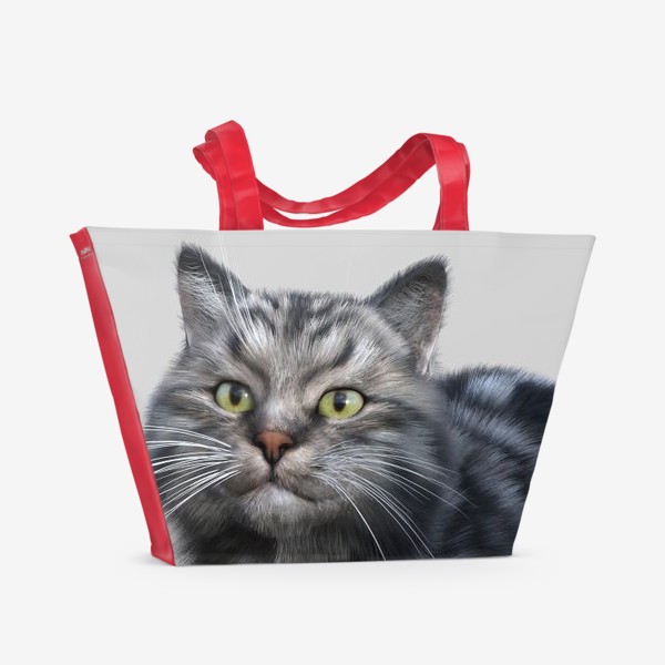 Пляжная сумка «Серебристый кот»