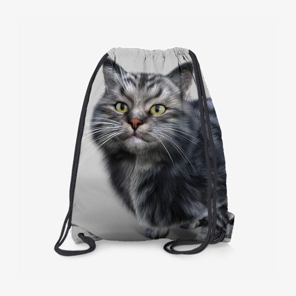 Рюкзак «Серебристый кот»