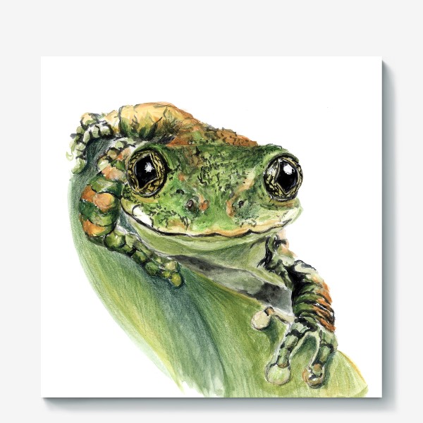 Холст «Зеленая лягушка на листе улыбается»