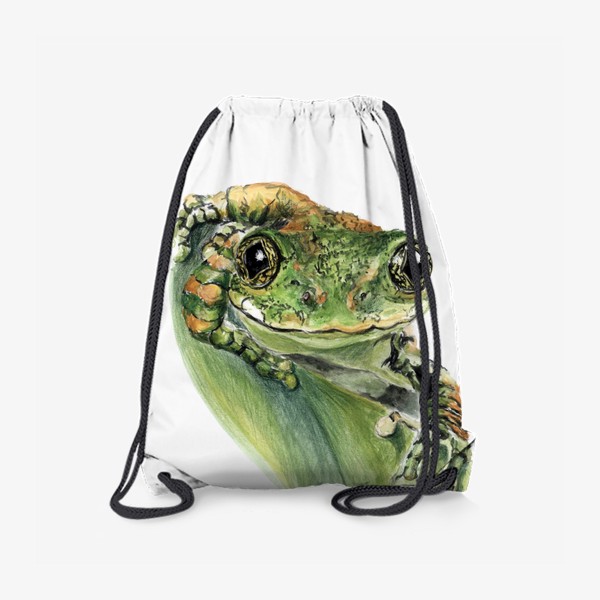 Рюкзак «Зеленая лягушка на листе улыбается»