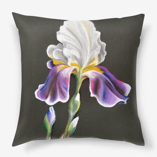 Подушка «Бело-фиолетовый цветок, Ирис сухой пастелью на темном фоне»